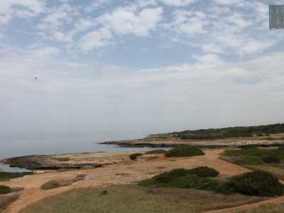 Coloro che amano l'"avventura" scopriranno che arrampicarsi sulla torre non � poi un'impresa cos� ardua. Quello che spetta ai temerari � un bel panorama